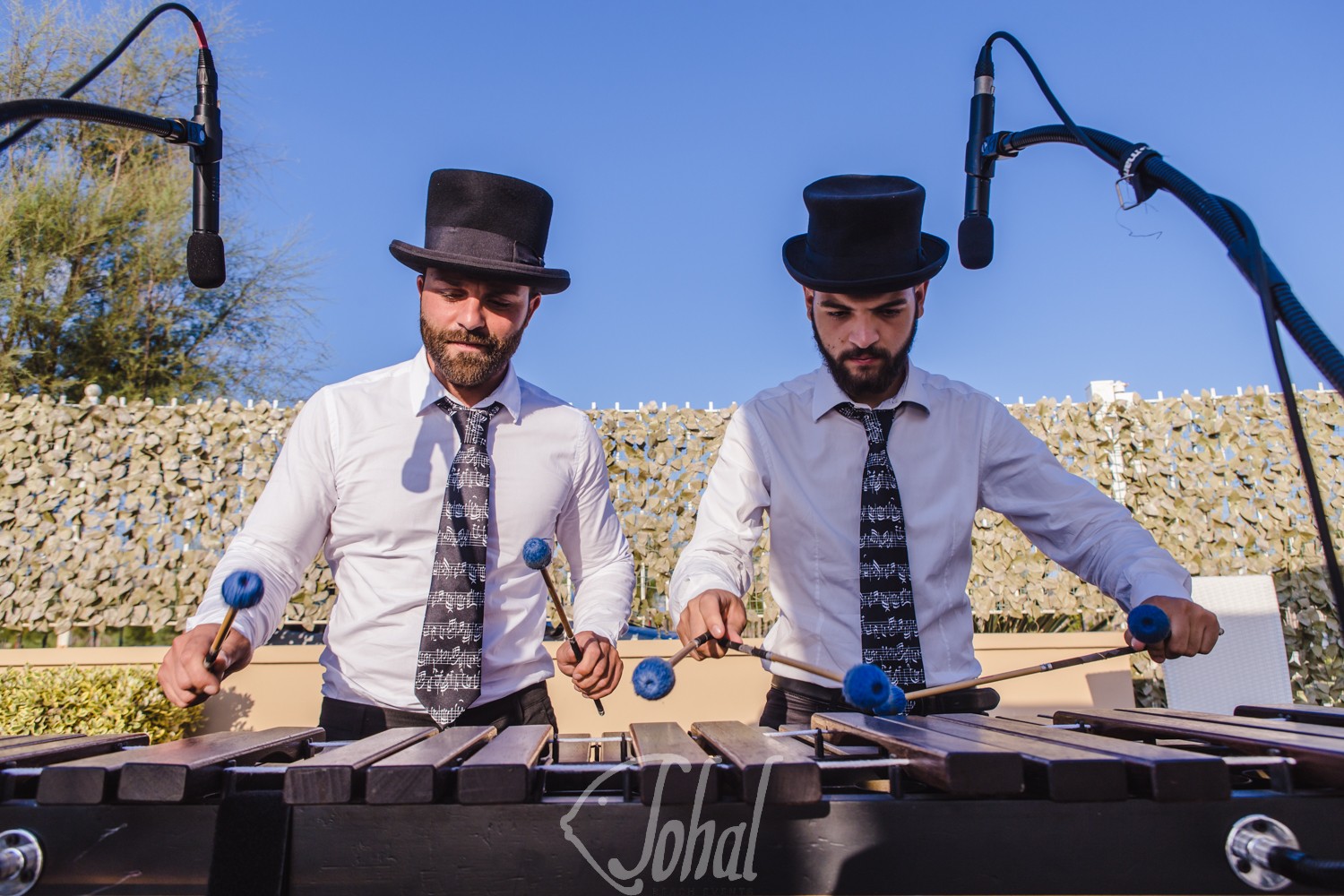 musica e intrattenimento