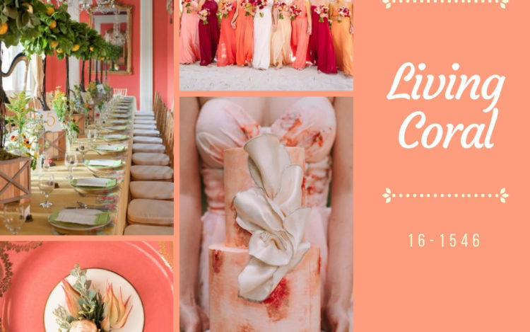 Colore dell'anno 2019 Living Coral