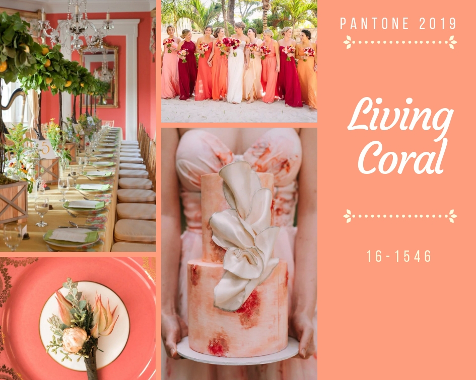 Colore dell'anno 2019 Living Coral